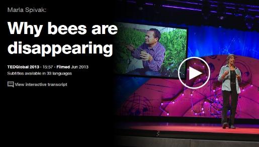 thumbnail -  Marla Spivak: Why bees are disappearing (TED Talks)